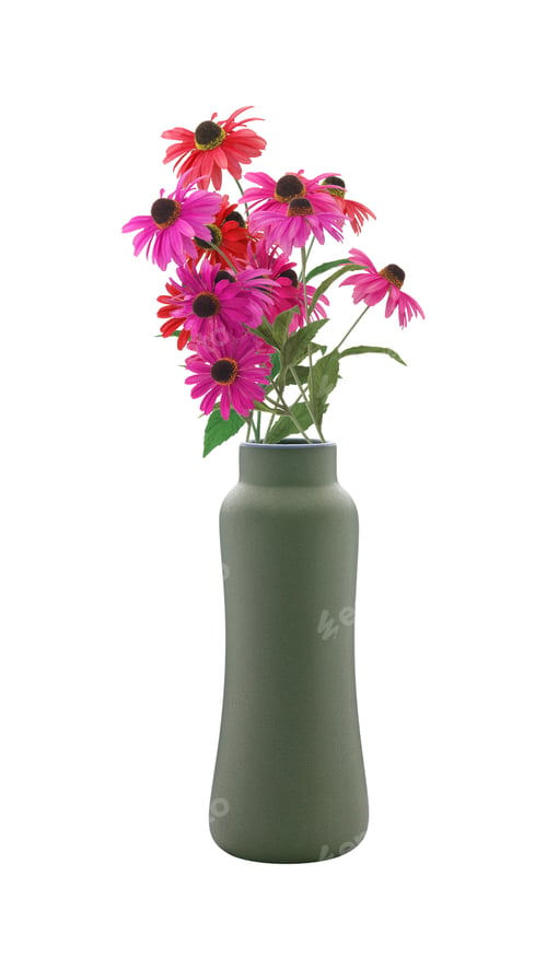 Preview: flowers in a vase isolated