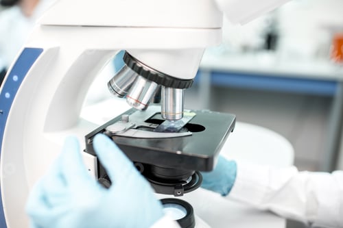 Preview: Microscope with test sample