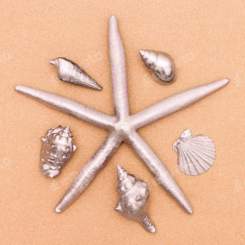Preview: Silver Starfish and Seashells on Sandy Background