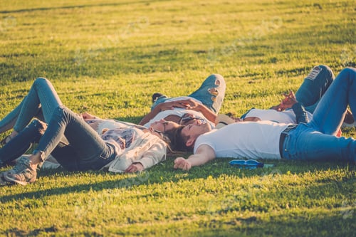 Preview: Multi-ethnic group of friends resting in a park