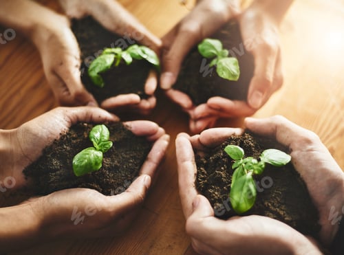 Preview: We each need to nurture our own dreams