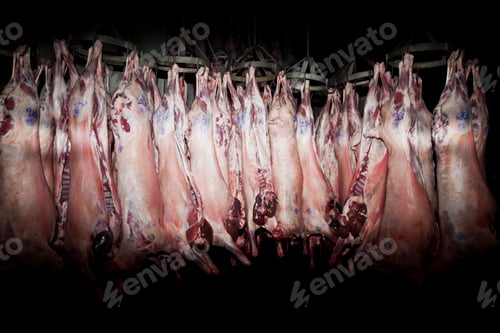 Preview: Slaughter house