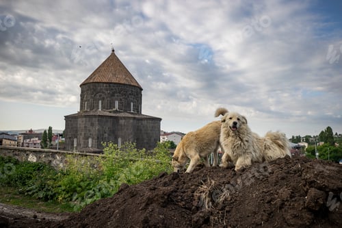 Preview: Eastern Anatolia, Turkey. Cityscape of the Kars town in Kars province