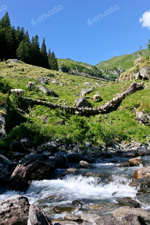 Preview: mountain river