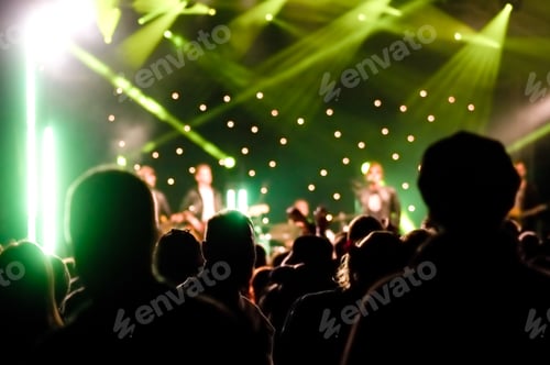 Preview: concert audience