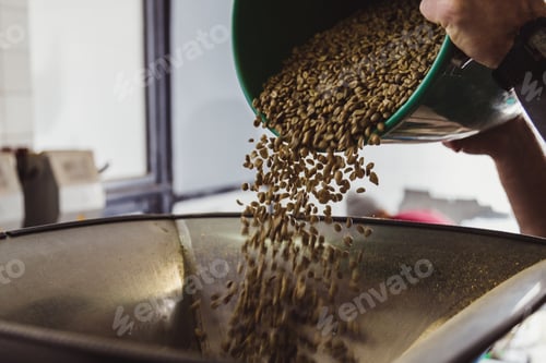 Preview: Entrepreneur pouring raw coffee beans into a modern roasting machine