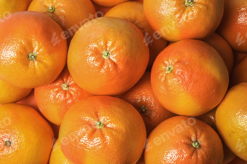 Preview: Many whole fresh ripe grapefruits as background, top view