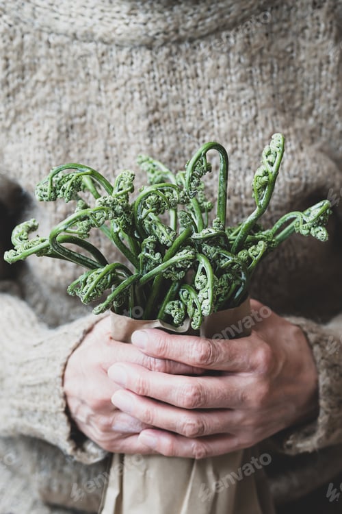 Vista previa: Bracken Fern at Paper Bag, in Hands of Elderly Woman. Vegan Concept. Sustainable Lifestyle.
