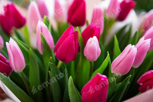 Preview: Spring tulips