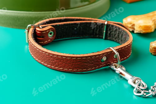 Preview: Pet leather collar and leash on green background