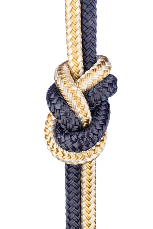 Preview: Figure eight knot