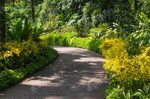 Preview: garden path with orchids