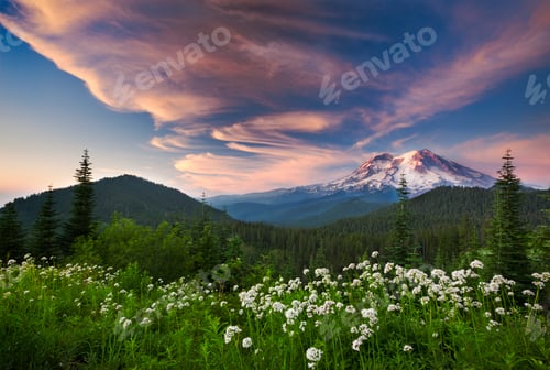Preview: Mount Rainier, a snow capped peak, in a landscape, Mount Rainier National Park.