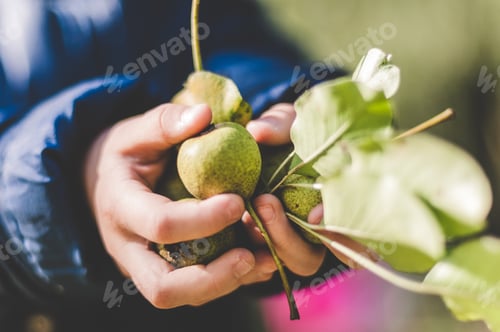 Preview: Healthy food