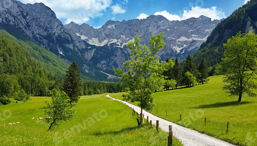 Preview: Flock of sheep in beautiful alpine valley, green meadows and pastures surrounded by mountains.