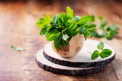 Preview: Fresh green mint leaves