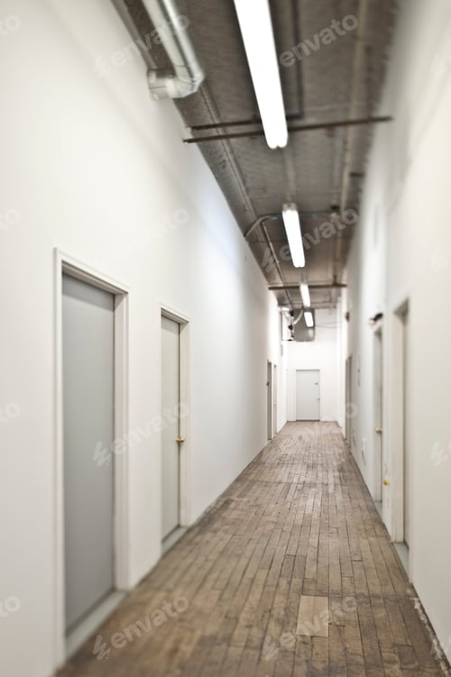 Preview: Long Corridor With Closed Doors