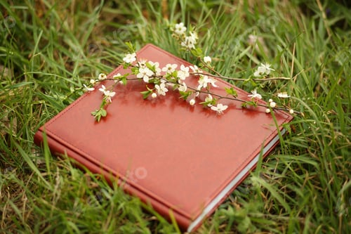 Preview: photo book on the grass. A leather photobook on a grass with a branch of blooming cherry