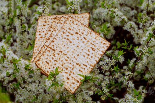 Preview: Judaism and religious on jewish matza on passover tallit