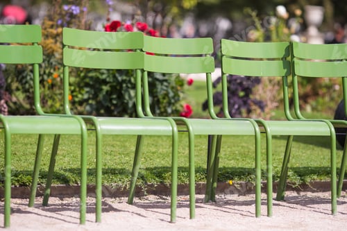 Preview: Traditional green chairs in the Tuileries garden in Paris, France