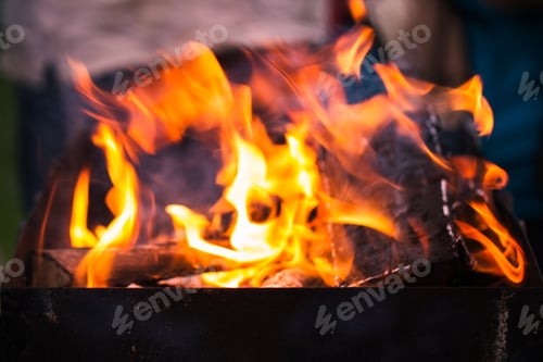 Preview: fire flames with sparks on the coals