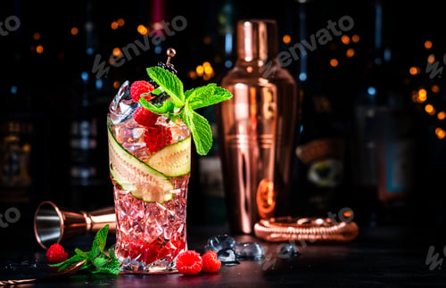 Preview: Rose garden cocktail drink with dry gin, tonic, syrup, juice, lemon, raspberry, slied cucumber