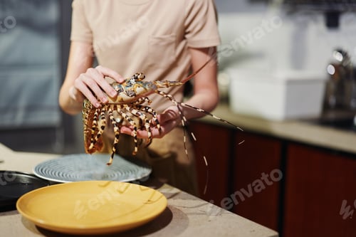 Preview: Closeup of woman holding a freshly cooked lobster on a plate in home kitchen, delicious seafood meal
