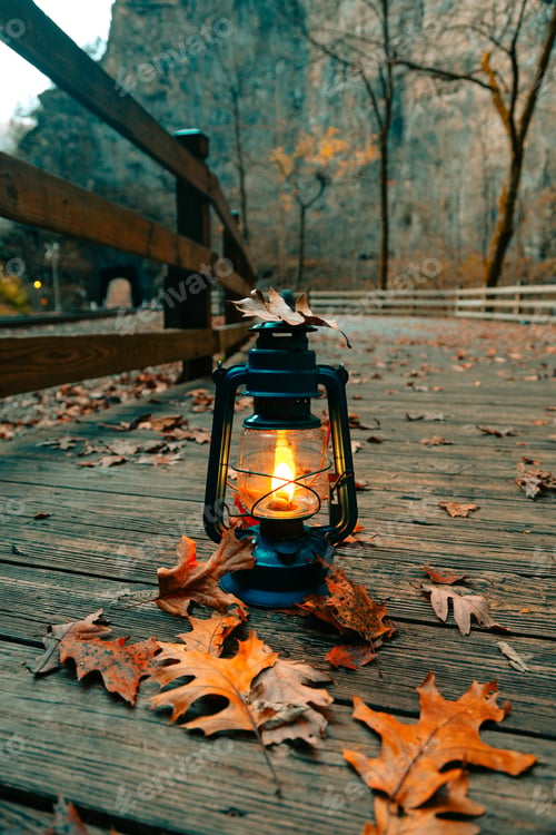 Preview: Blue lamp in foliage