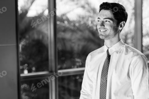 Preview: Portrait of happy young handsome businessman by the glass window