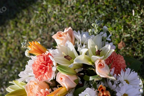 Preview: Close-up photo of bunch of bright flowers
