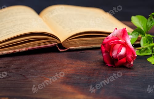 Vorschau: Rote Rose auf einem Vintage-Buch auf einem Holzschreibtisch