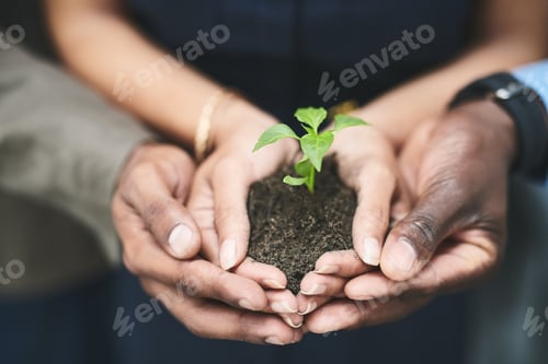 Preview: Growth is up to all of us