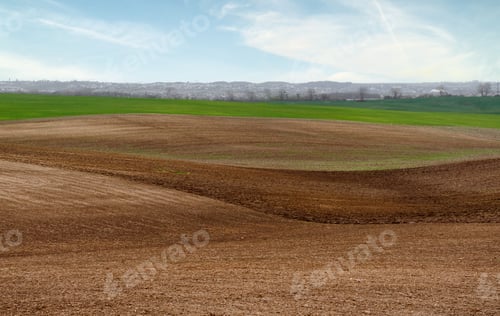 Preview: Brown Field and Distant Skyline under Blue Sky