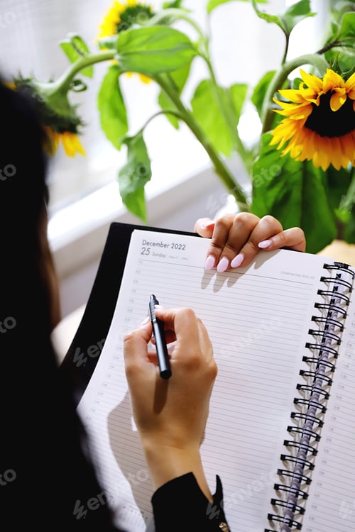 Preview: Diary entry