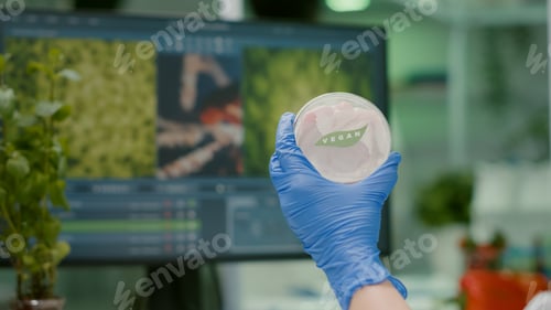 Preview: Closeup of scientist woman holding in hands petri dish with vegan beef meat