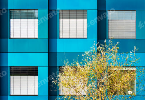 Preview: Fragment of a modern building blue facade with a tree in the foreground