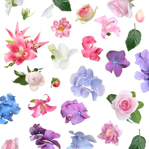 Preview: Beautiful flowers and green leaves falling on white background