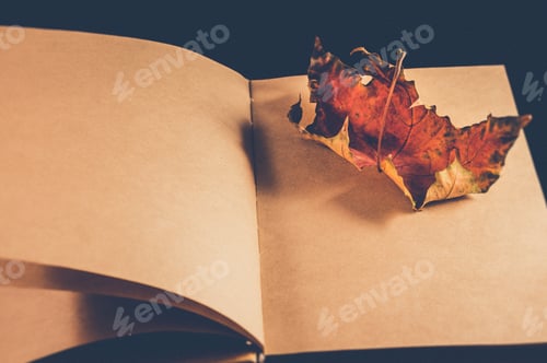 Preview: Old maple leaf on a notebook