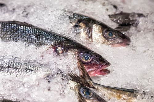 Preview: Fresh seafood on crushed ice at fish market