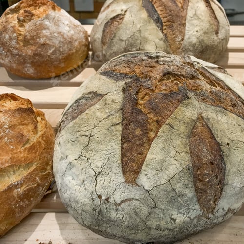 Preview: Freshly baked loaves of bread