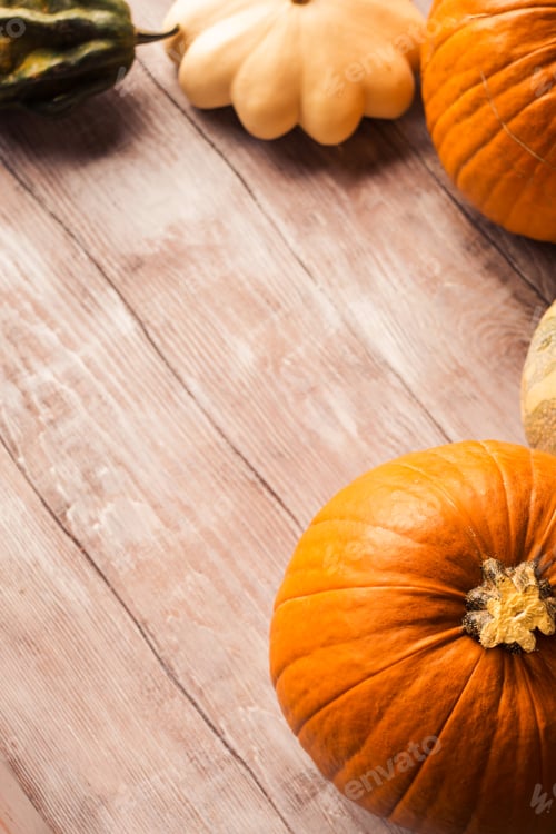 Preview: Autumn still life with different pumpkins