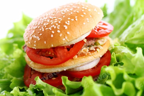Preview: Big and tasty burger