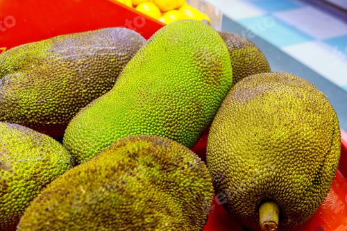 Preview: Many whole green jack fruit on street