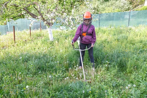 Preview: Woman farmer mows the grass in the backyard using string trimmer
