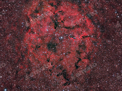 Aperçu: IC1396 Elephant's Trunk Nebula