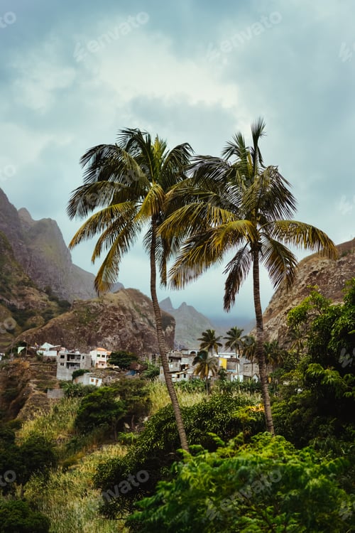 Preview: Santo antao, cape verde. Landscape with palm trees and houses of self-construction, in the coastal