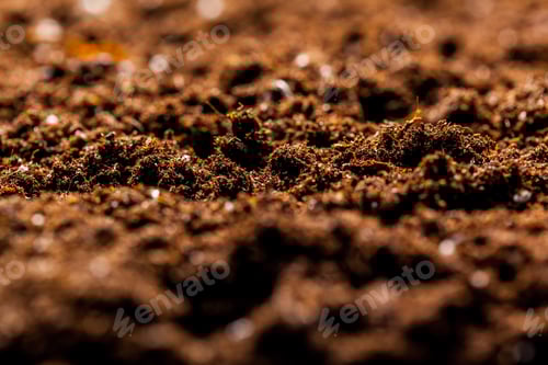 Preview: The texture of the macro ground