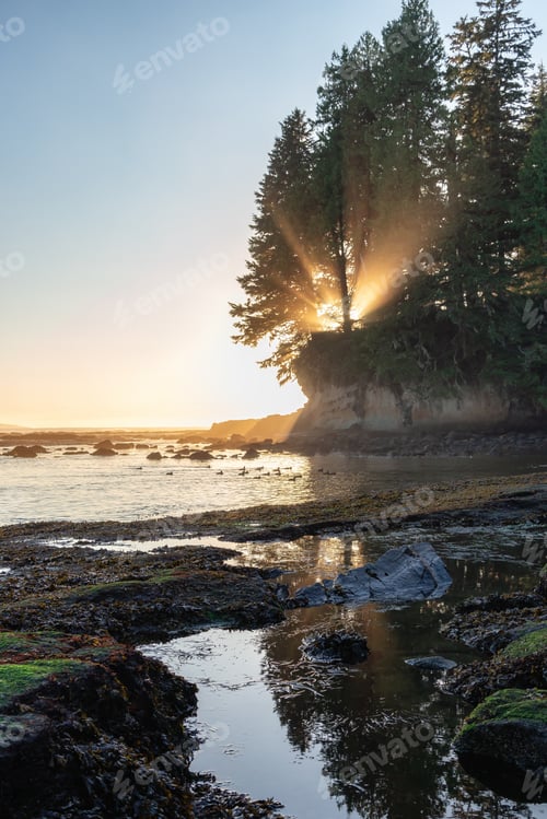 Preview: Rocky Shore on the Pacific Ocean Coast. Sunny Sunset. Nature Background