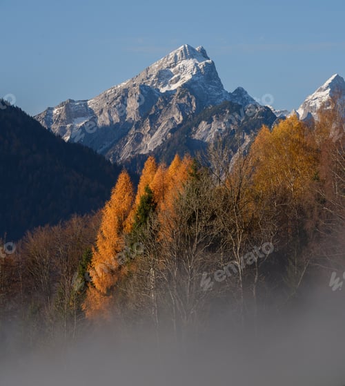 Preview: Autumn morning