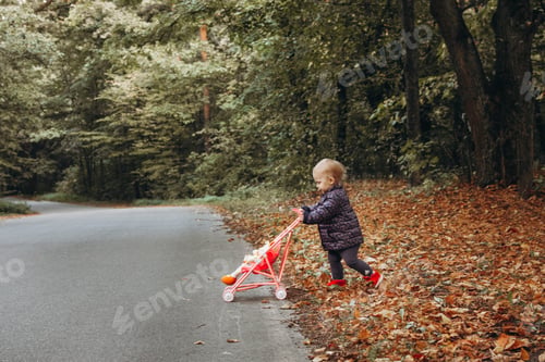 Preview: baby rolls a doll in a stroller in an autumn park